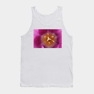 Tulipa  &#39;Blue Beauty&#39;   Triumph Group Tulip Tank Top